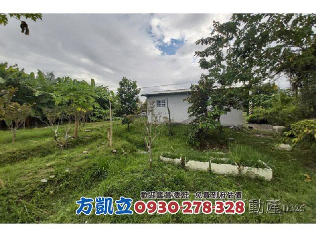 花蓮農地-2