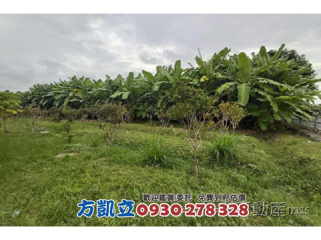 花蓮農地-3