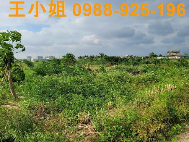 桃園農地-9