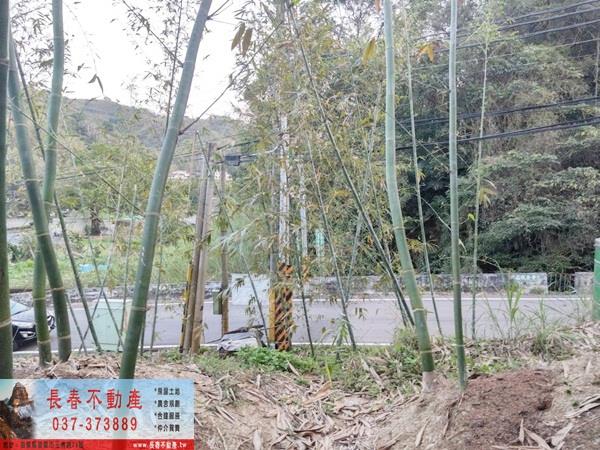 獅潭農地-0