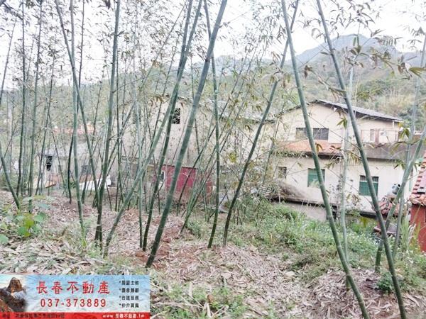 獅潭農地-1