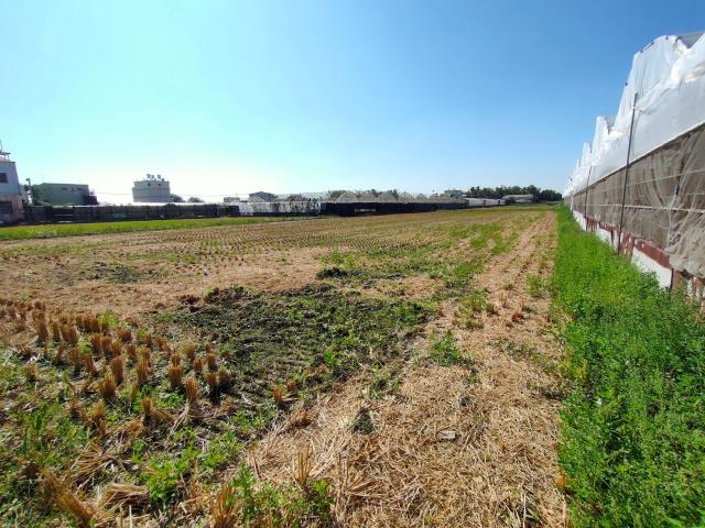 大村農地-8