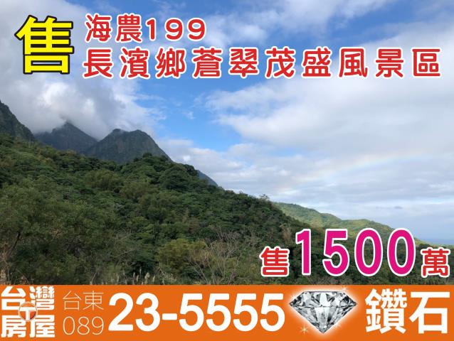 台東長濱農地-0