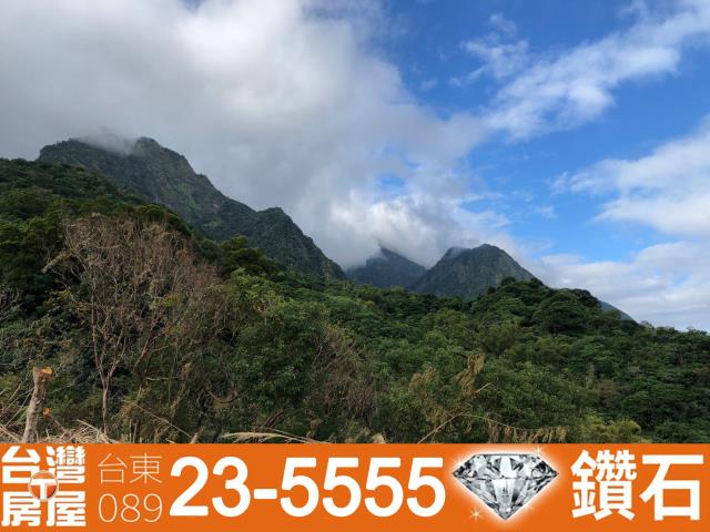 台東長濱農地-5
