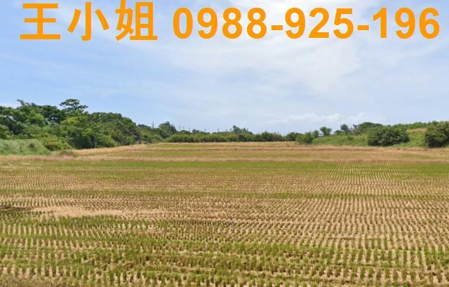 桃園新屋農地-0