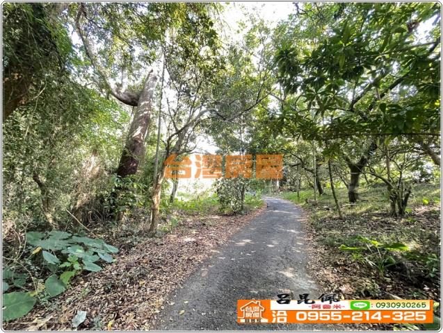 嘉義番路農地-6