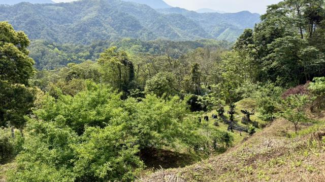 新竹北埔農地-9