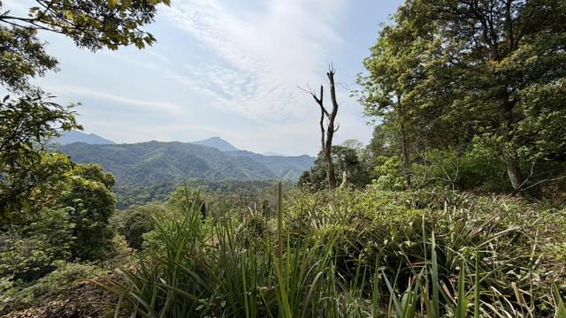 新竹北埔農地-0