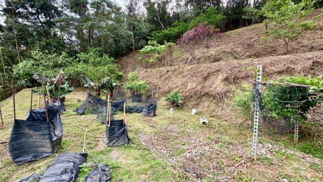 新竹北埔農地-10