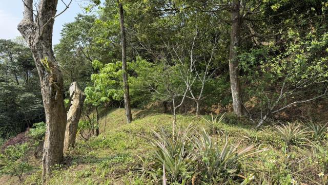 新竹北埔農地-1