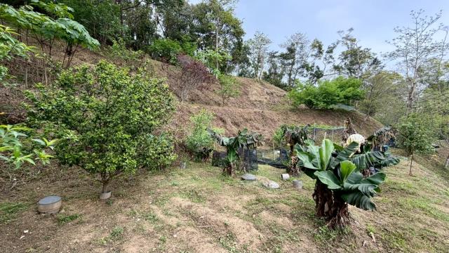 新竹北埔農地-11