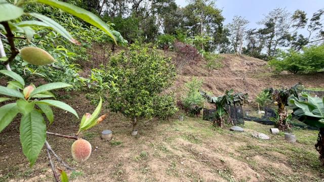 新竹北埔農地-12