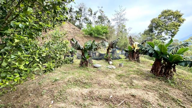 新竹北埔農地-13
