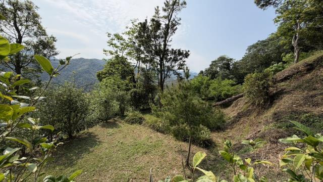 新竹北埔農地-6
