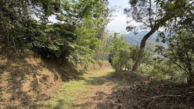 新竹北埔農地-7