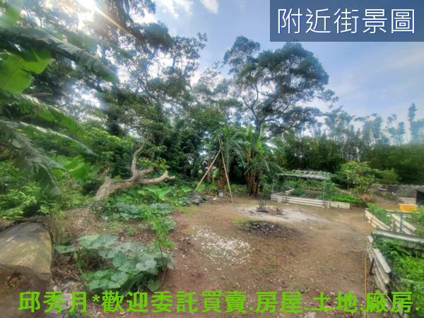 淡水農地-5