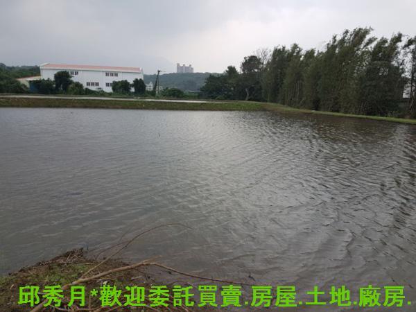新北農地-2