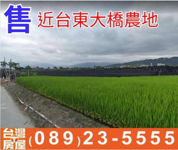 台東台東市農地-0