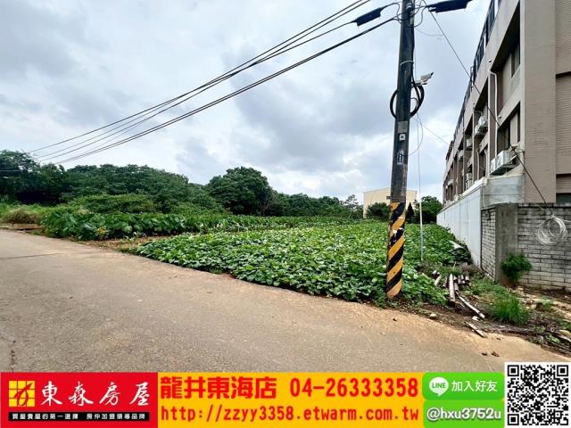 大雅農地-1
