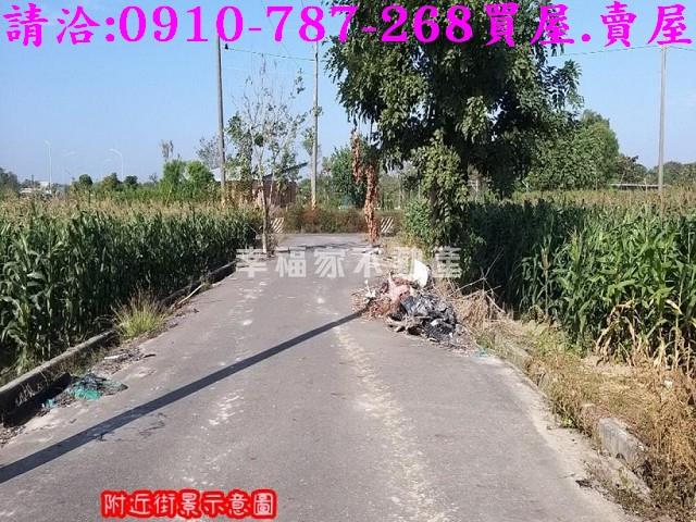 台南安定農地-1