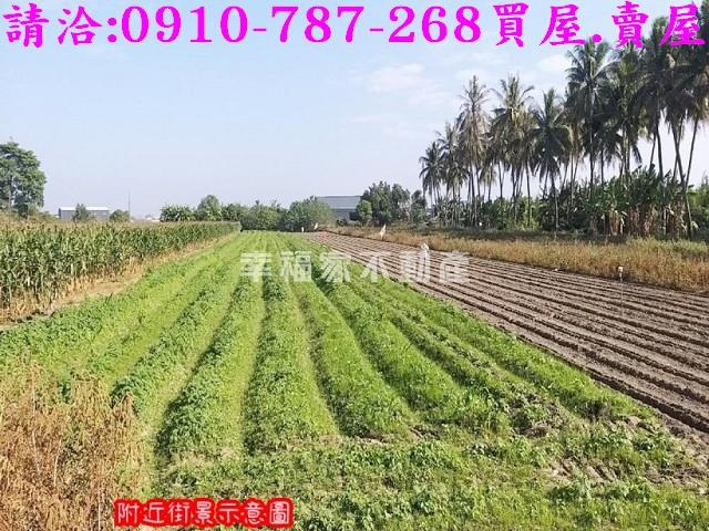 台南安定農地-2