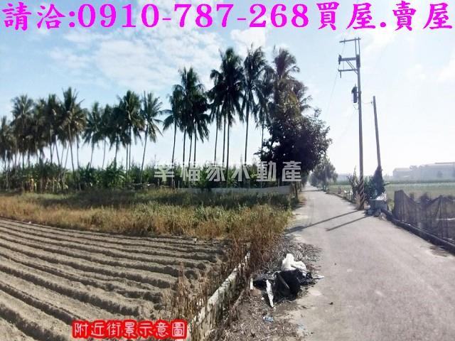 台南安定農地-5