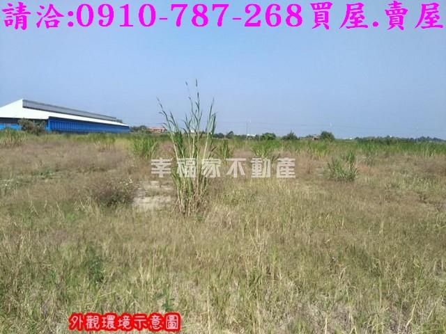 台南西港農地-2