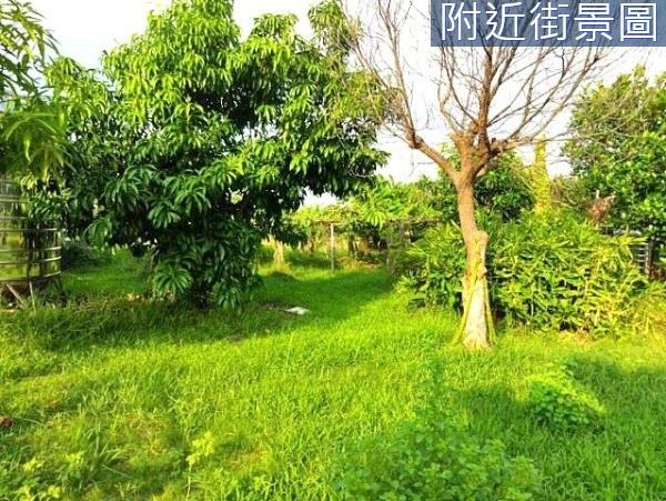 台南安南農地-10