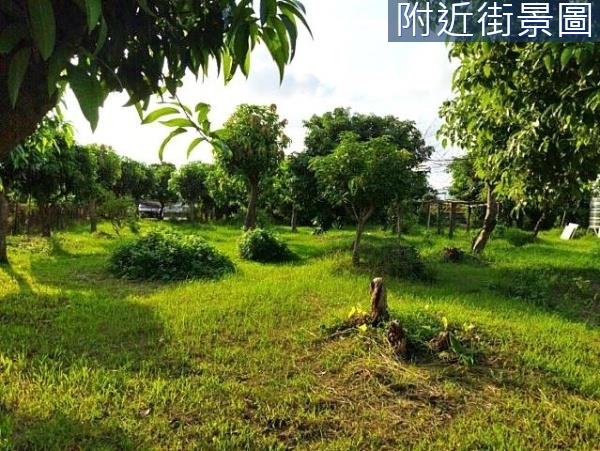 台南安南農地-3