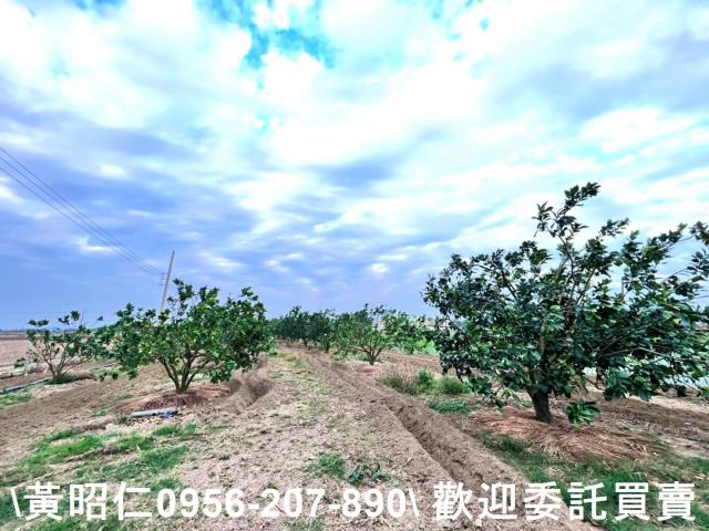 台南善化農地-2