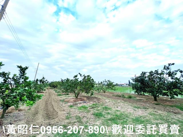 台南善化農地-4
