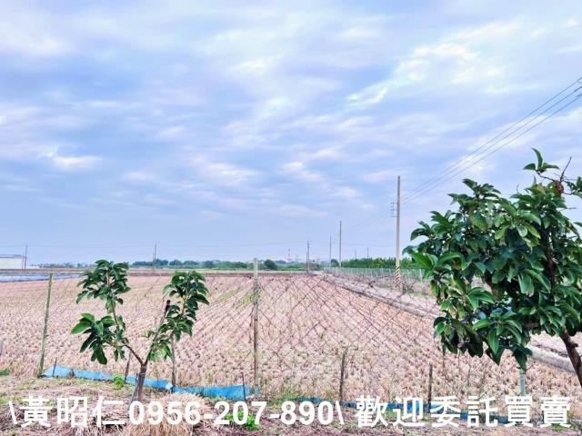 台南善化農地-5