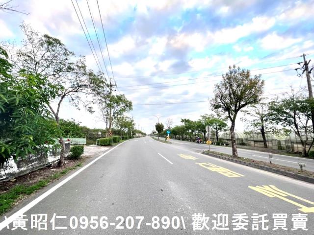 台南善化農地-6