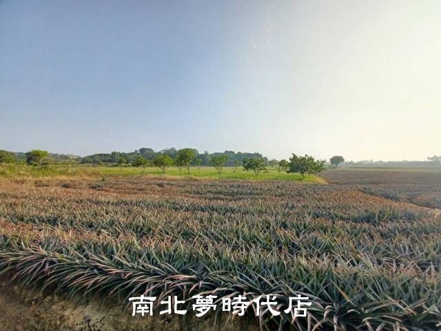 台南關廟農地-11