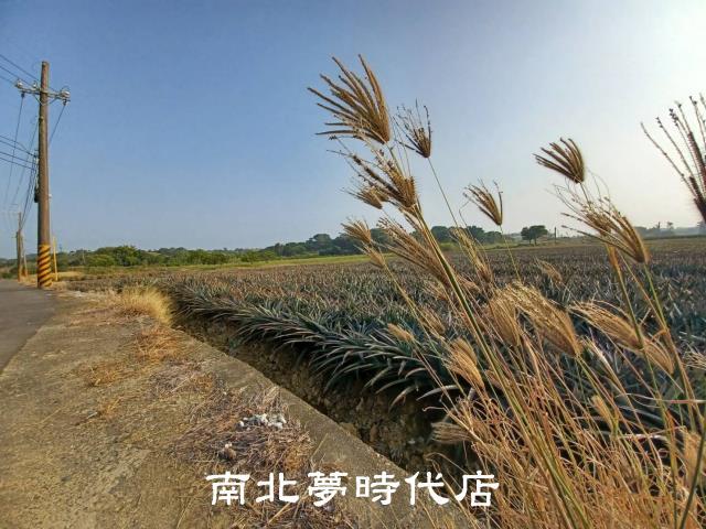 台南關廟農地-0