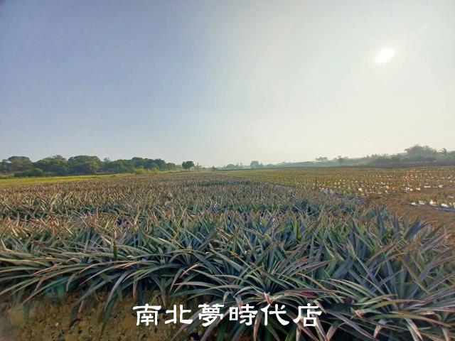 台南關廟農地-3