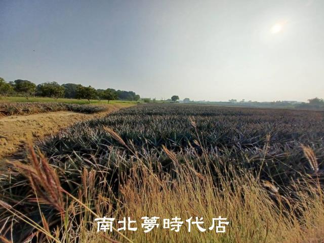 台南關廟農地-7