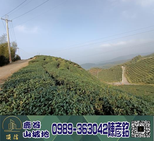 南投鹿谷工業地-7