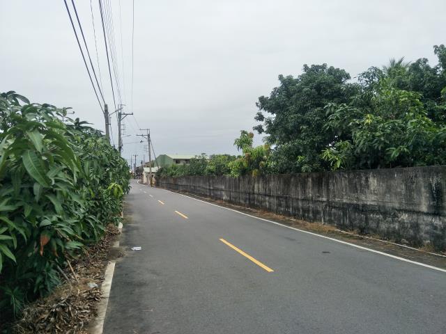 玉井農地-7