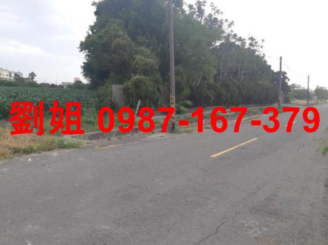 台南七股農地-2