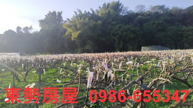 東勢農地-1