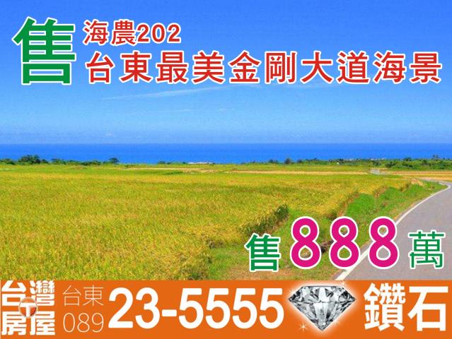 台東長濱農地-0