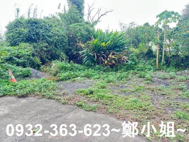 桃園中壢建地-6