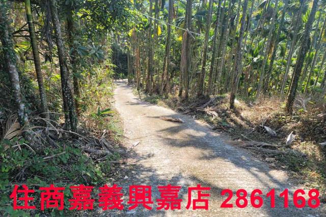 嘉義梅山農地-8