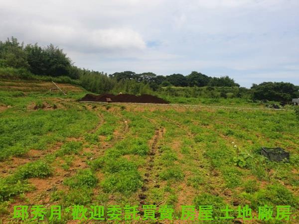 新北石門農地-3