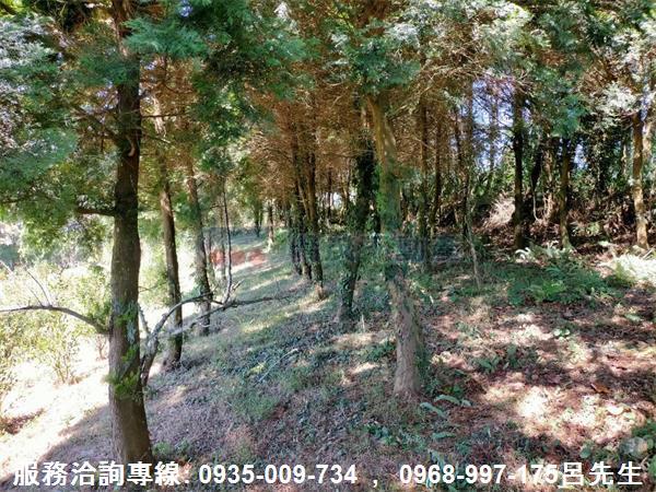 苗栗銅鑼農地-1