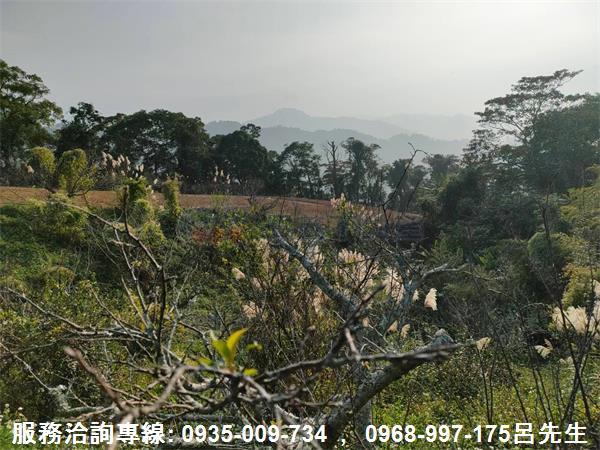 苗栗銅鑼農地-3