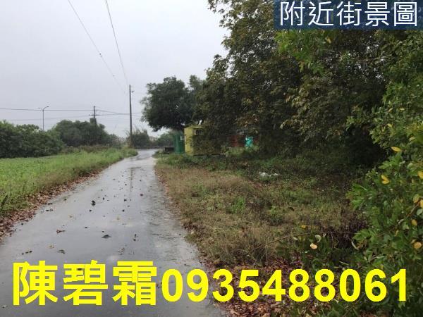 台南善化農地-4