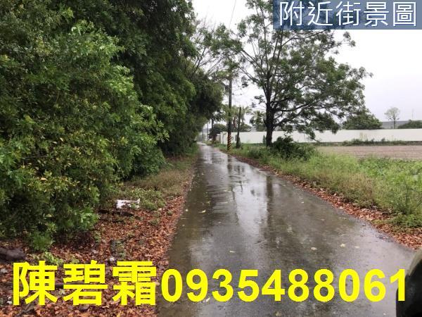 台南善化農地-5