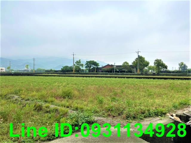 苗栗苑裡農地-2